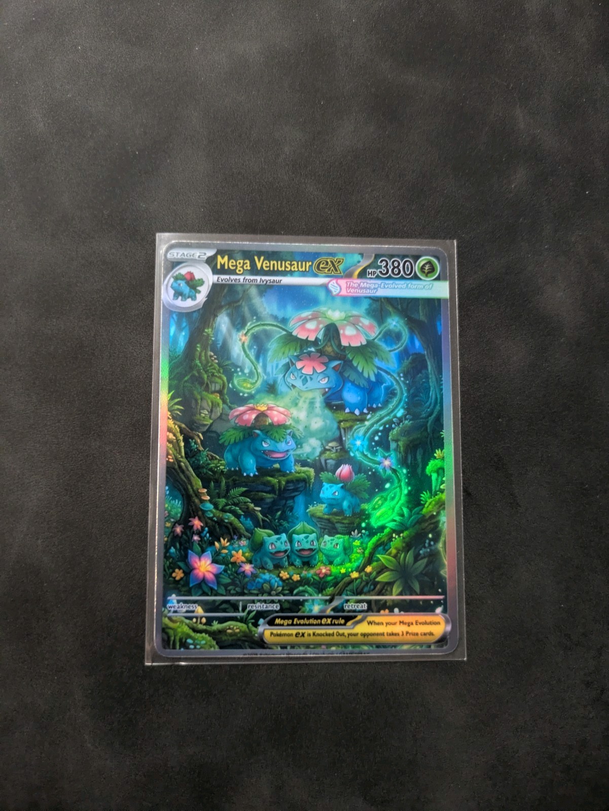 Phantasmal Style Mega Venusaur Holographic Display Card