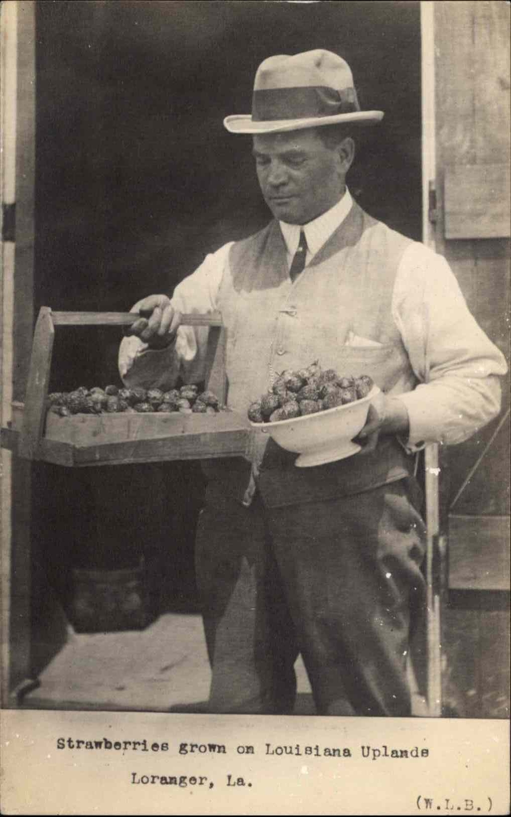 Loranger Tangipahoa Louisiana LA Strawberry Farmer SCARCE c1910 RPPC Postcard