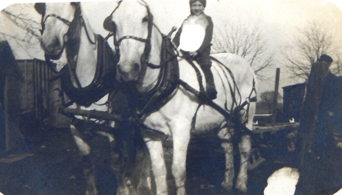 1910s CHILD ON A WHITE HORSE TEAM SOUTH DAKOTA UNPOSTED RPPC POSTCARD REAL PHOTO