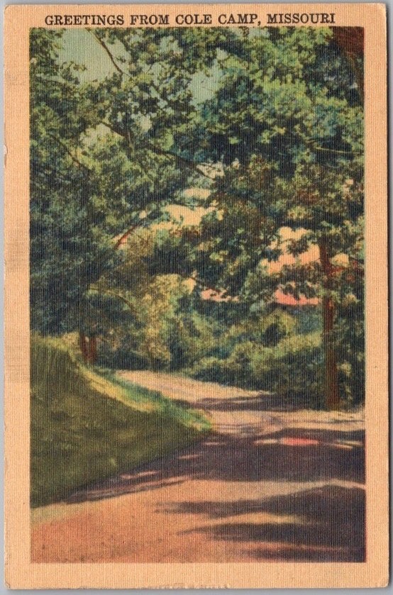 Vintage 1940s COLE CAMP, Missouri Postcard Road Scene - MWM Linen - Unused