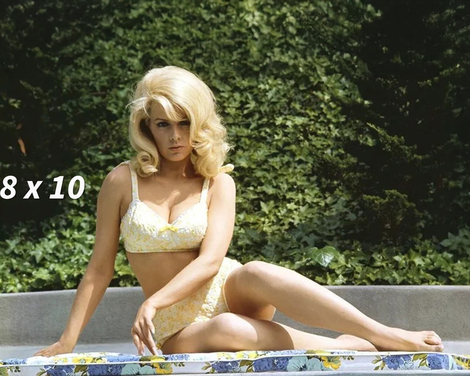 STELLA STEVENS 8x10 Photo Stunning Blonde Actress Hollywood Glamour Reprint New STELLA STEVENS 8x10 Photo Stunning Blonde Actress Hollywood Glamour Reprint New