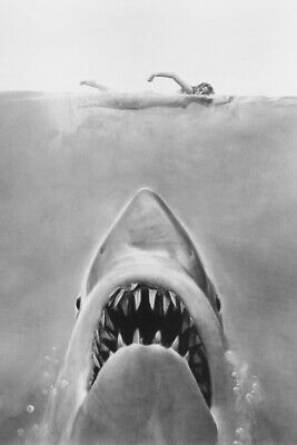 JAWS B&W 24X36 POSTER PRINT SHARK & SWIMMER JAWS B&W 24X36 POSTER PRINT SHARK & SWIMMER