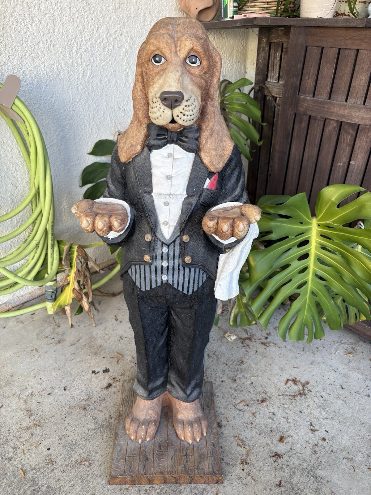 Vintage 36” Basset Hound Butler Statue Tuxedo Dog Character Server VERY RARE