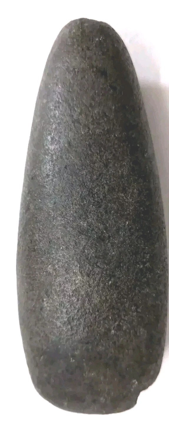 LATIN AMERICAN ORIGINAL POWERFUL TAINO STONE AXEHEAD TOOL ARTIFACT CELT HAITI