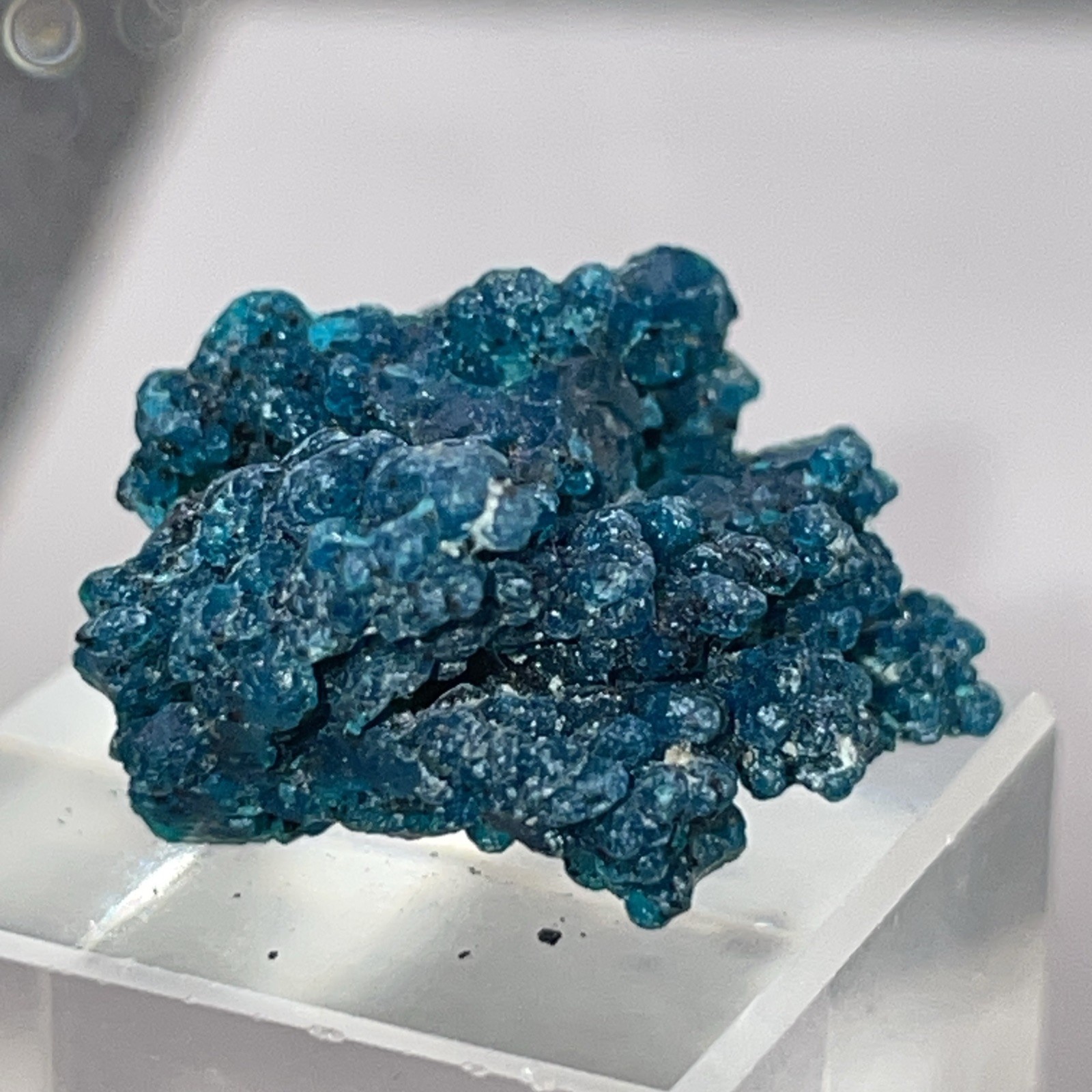 RARE GEM BLUE MALACHITE PSEUDOMORPH AFTER CHRYSOCOLA PERU