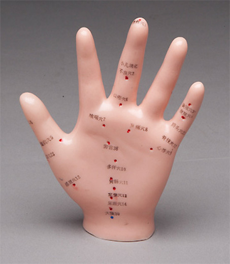 Hand Acupuncture Anatomical Model NEW