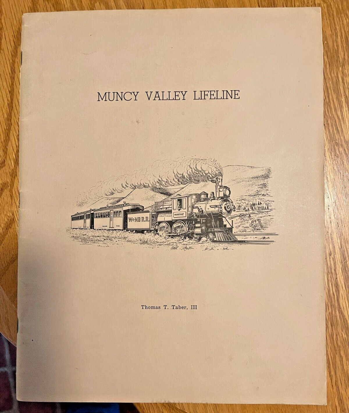 Muncy Valley Lifeline Thomas Taber, III Central Pennsylvania Railroad History