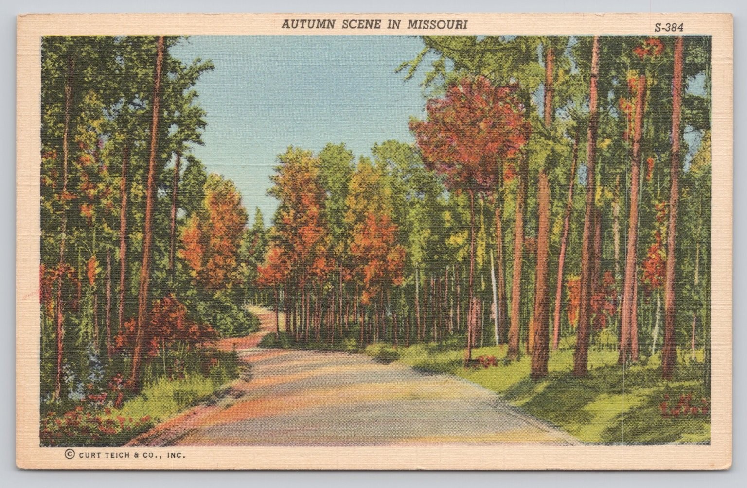 Vintage Autumn Scene Missouri Forest Road Linen Postcard S-384 Curteich Vintage Autumn Scene Missouri Forest Road Linen Postcard S-384 Curteich
