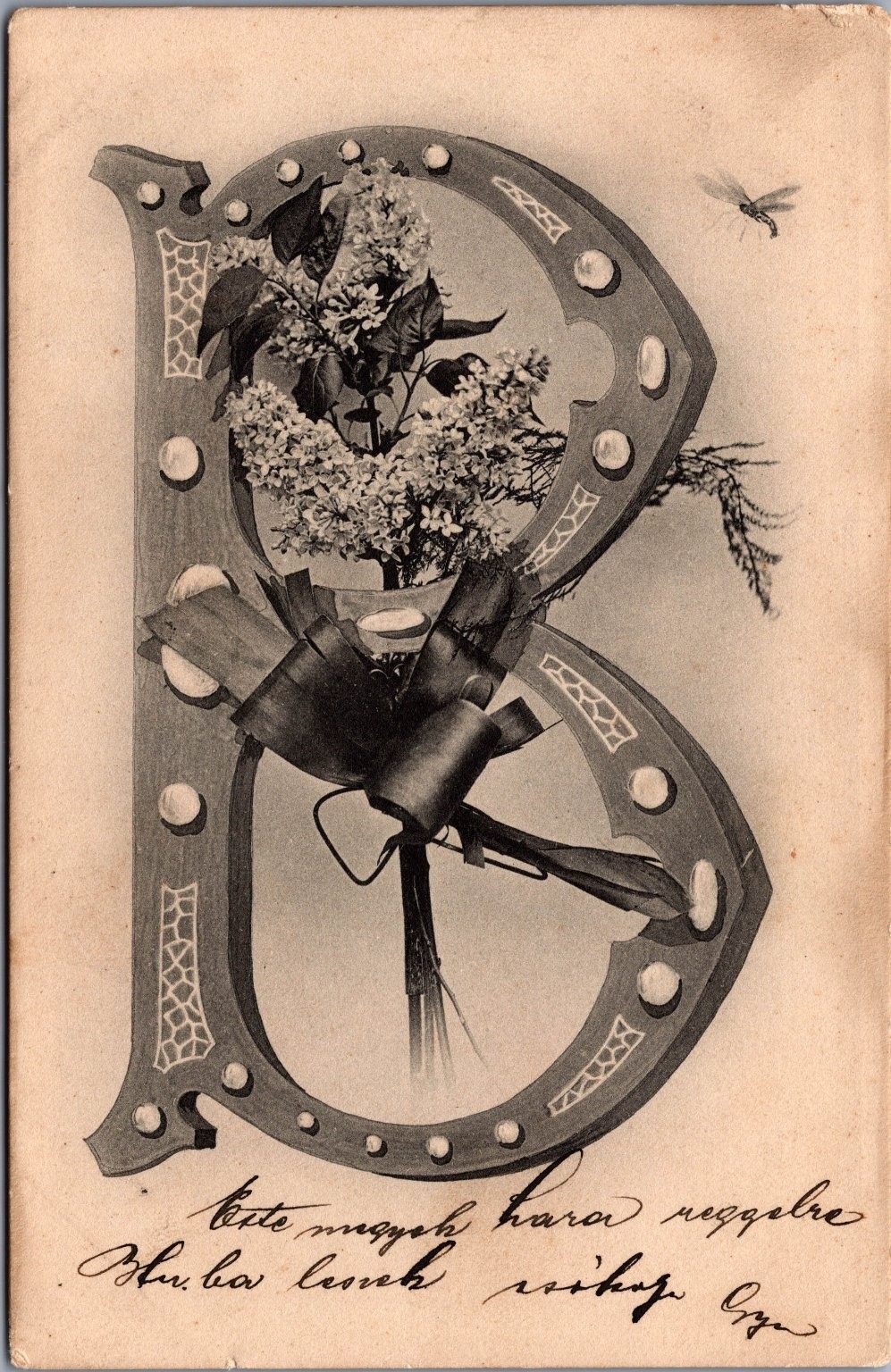 Vintage Ornate Letter B Lilacs Dragonfly Hungarian Postcard Brasso c1900s
