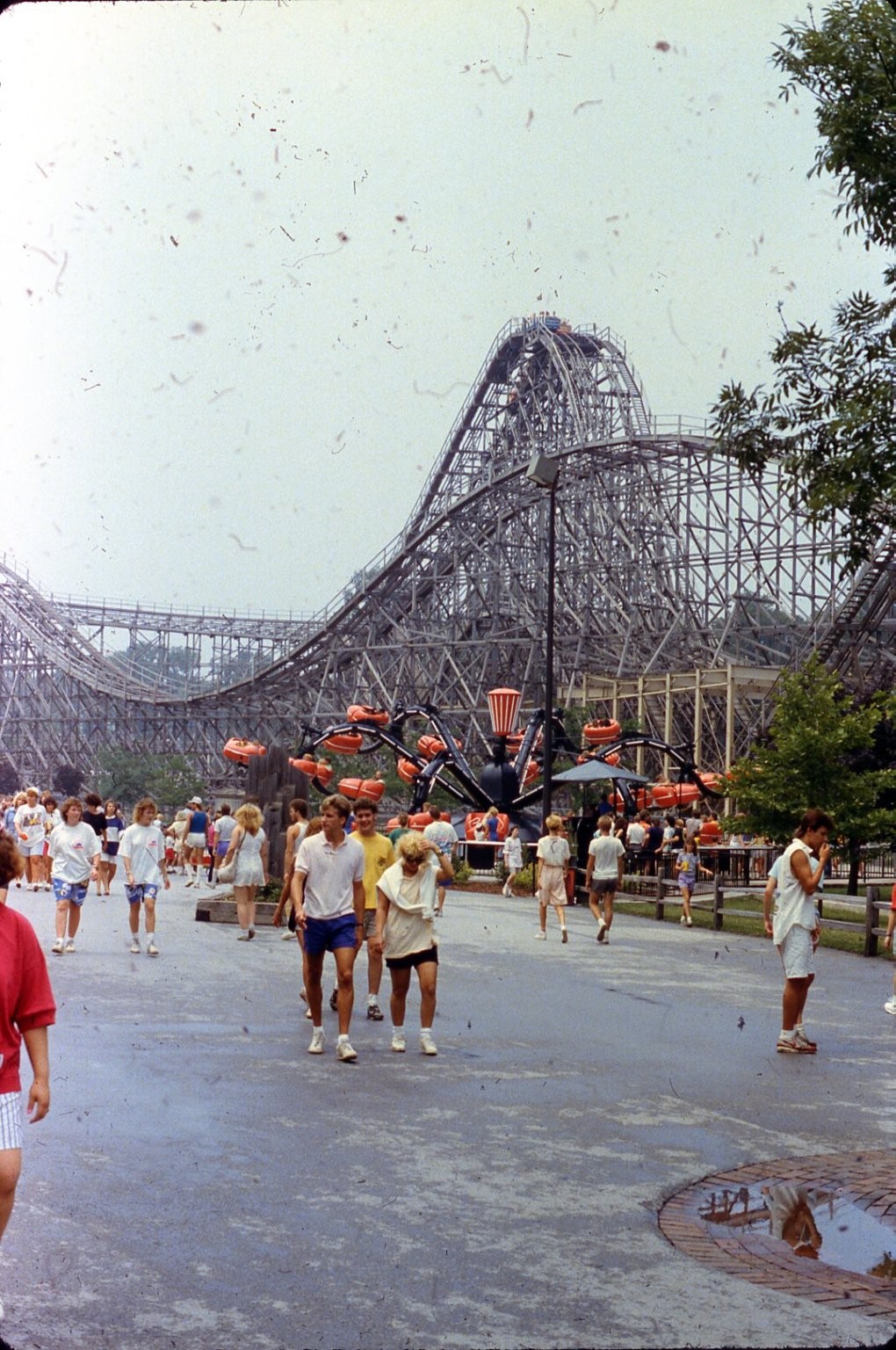 SL39 Slide 1980\'s Cedar Point Amusement Park Wooden Roller 749a