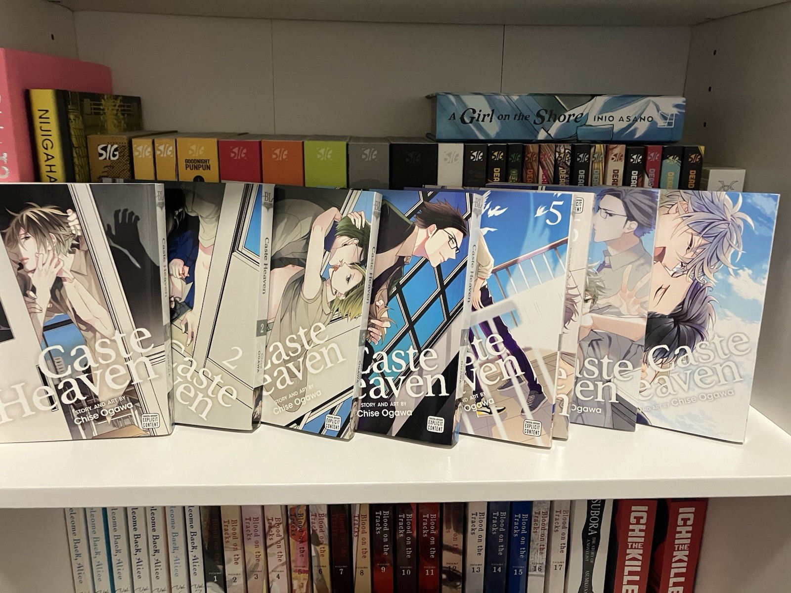 BL/Yaoi  Caste Heaven Manga 1-8 complete set in English.