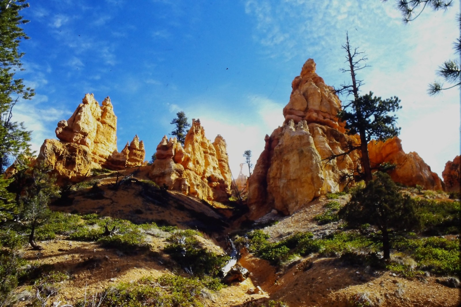 c1970's 35mm Slide, Bryce Canyon National Park Hoodoos Utah American Landscape c1970's 35mm Slide, Bryce Canyon National Park Hoodoos Utah American Landscape