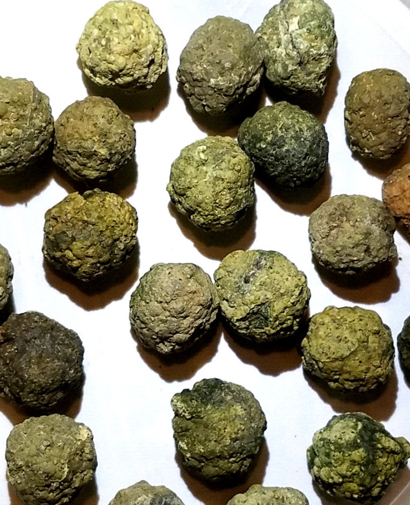 (1-lb LOT) = ( 14 to 20 Uncut Rough Thunderegg Oregon Rocks Geode)Tumbler JoNGD: