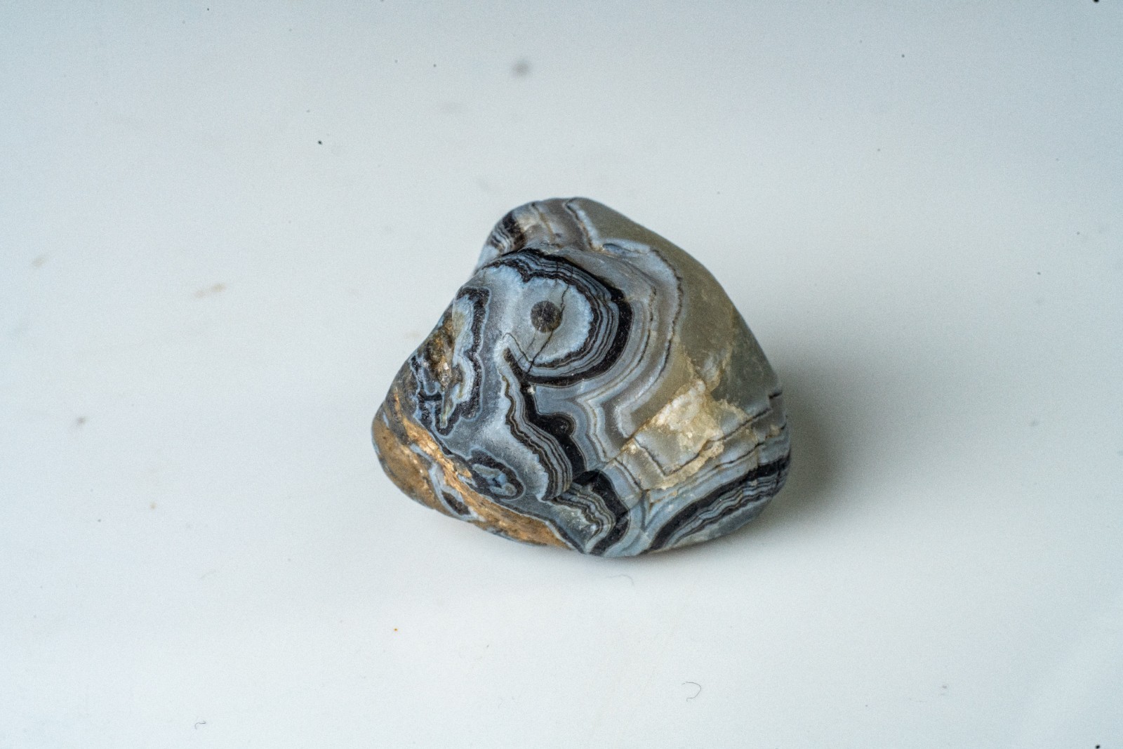 South Dakota Fairburn Agate State Gem Black and White Beauty South Dakota Fairburn Agate State Gem Black and White Beauty