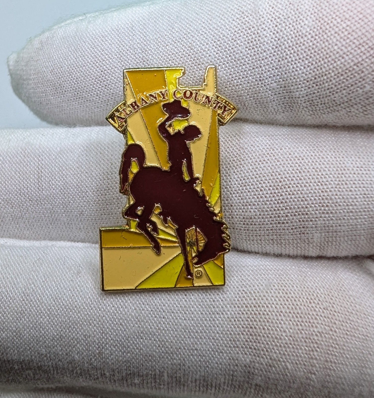 Vintage Albany County Wyoming Bucking Bronco Steamboat State Map Lapel Pin