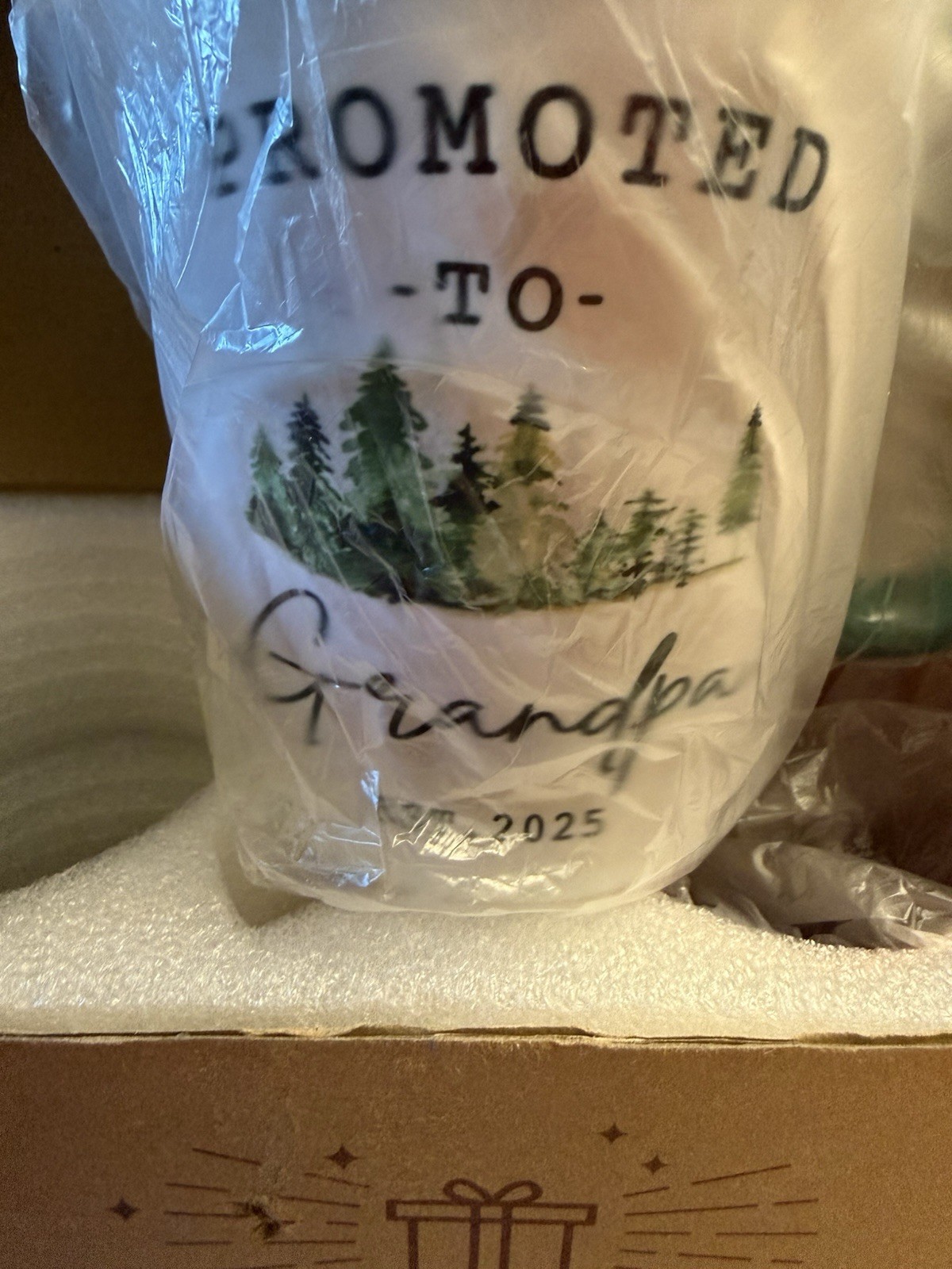 Promoted To Grandma And Grandpa 2025 Coffee Mugs