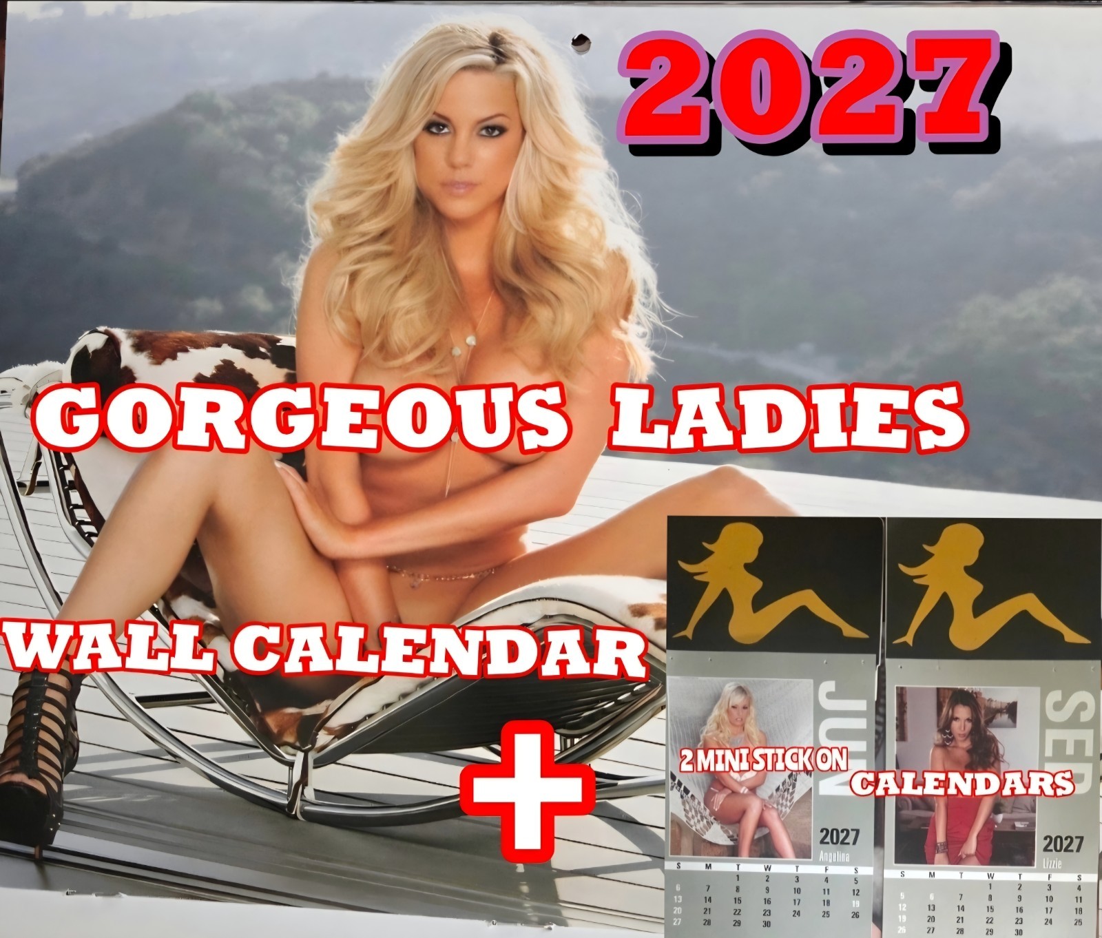2027 Beautiful Girls Wall Calendar  +  2 Mini Calendars...REAL WOMEN, NOT AI