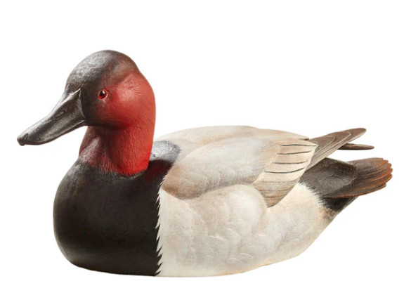 Wild Wings Canvasback Duck- Small Decoy by Sam Nottleman