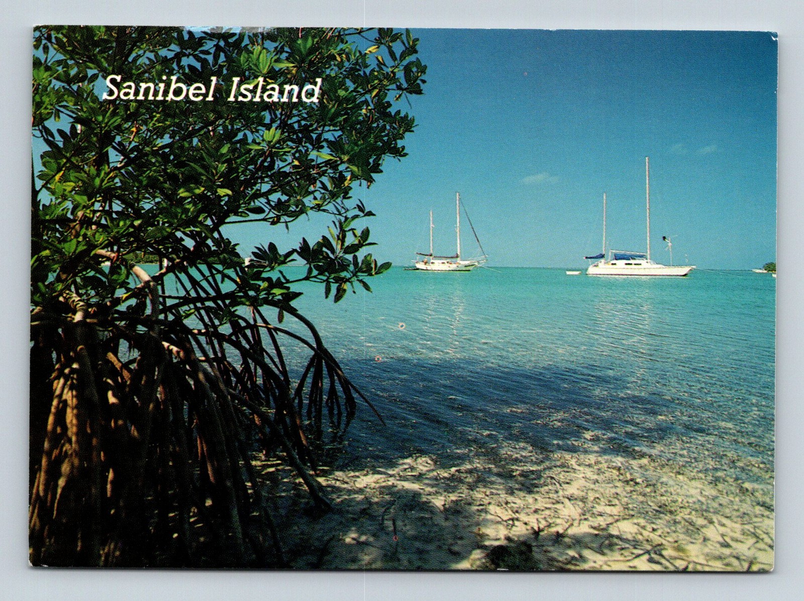 FL Sanibel Island 1995 Coastal View with Mangroves and Sailboats - Postcard FL Sanibel Island 1995 Coastal View with Mangroves and Sailboats - Postcard