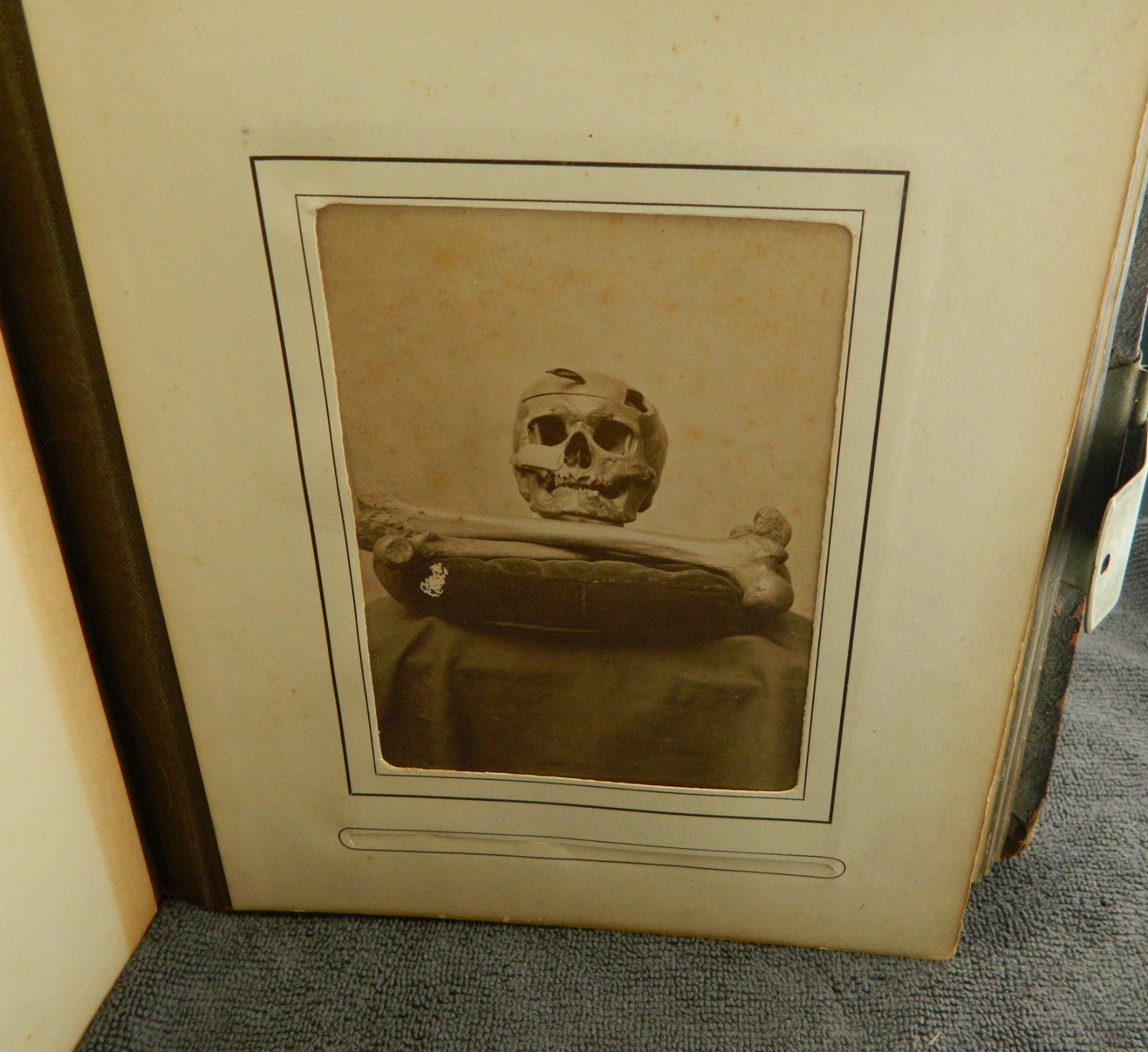 1893 Yale University Skull and Bones Yearbook Rare 133 year old Piece of History