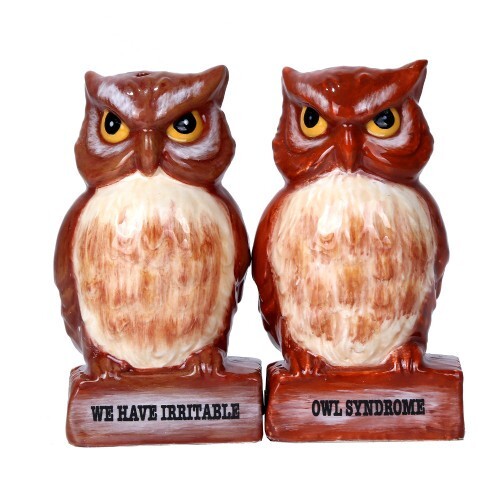 PT IRRITABLE OWLS SALT & PEPPER SHAKERS