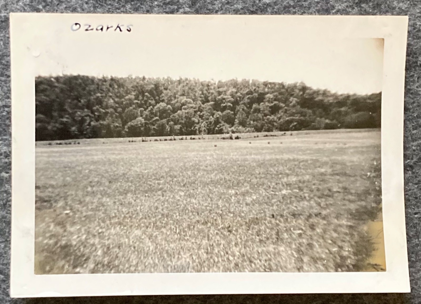 Vtg Photo 1930s -1940s Ozarks Aerial Mountain Field Fence Forest View Trees