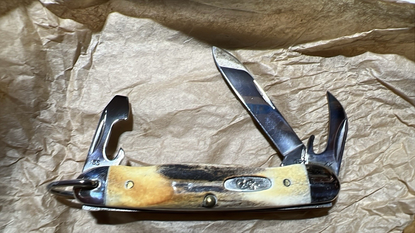 🔥2009 Case XX STAG Junior Scout Three Blades Bail  JR 54090R 05530 NIB 🇺🇸