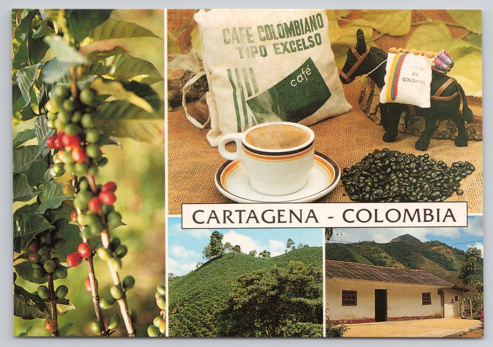 Vintage Postcard Cartagena Colombia Coffee Beans Cup Plant Hacienda Multi View