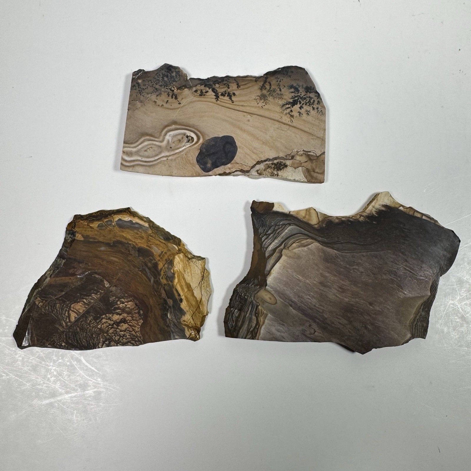 Biggs Jasper Oregon Rough Slabs 3 Pc Lot Lapidary Cutting Polishing Stone