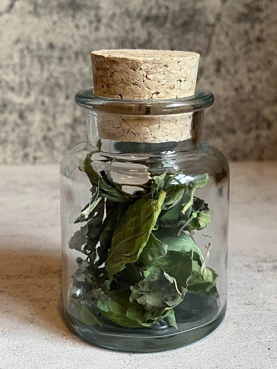 Belladonna | Deadly Nightshade | Atropa Dried Herb Wicca/ Witchcraft 1/4 oz