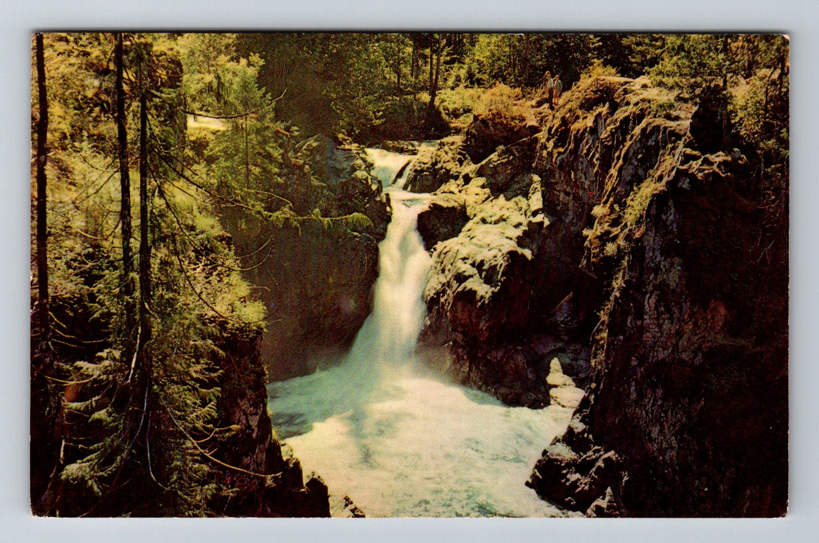 Canada- Little Qualicum Falls B.C. Souvenir Postal Old View PC Vintage Postcard