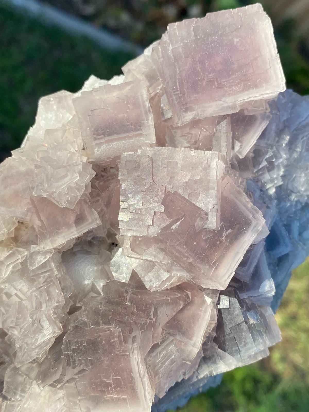 XL Pink / Gray cubic Fluorite cluster with phantoms See video