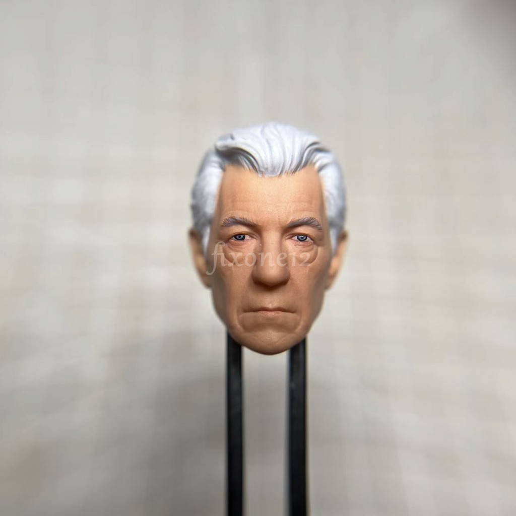 Painted 1/18 1/12 1/10 Ian McKellen Magneto Head Sculpt fit 3.75\