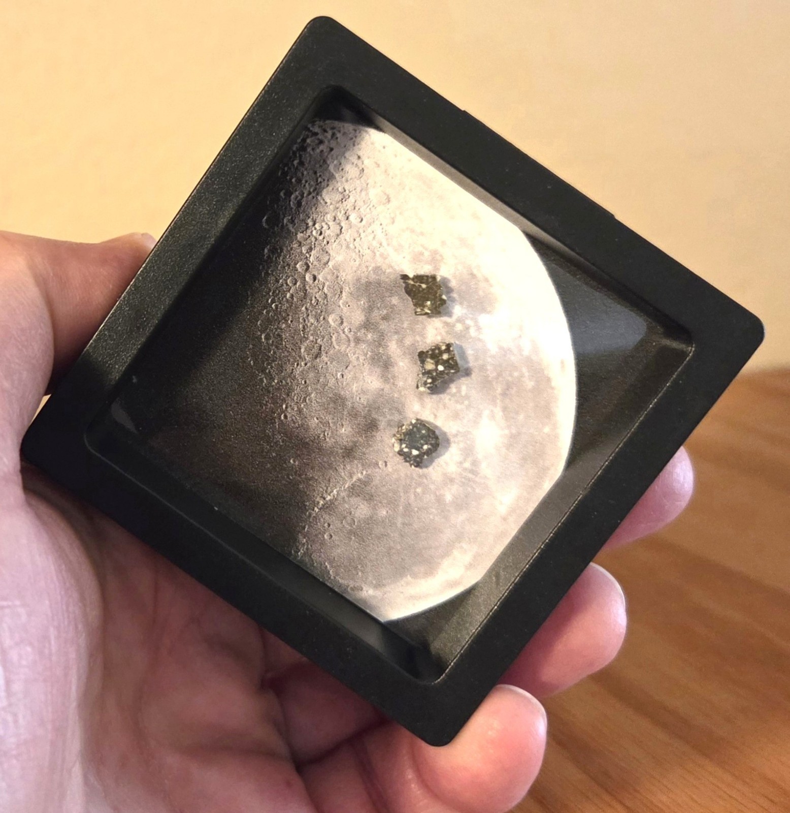3 Genuine Moon Rocks, XL Lunar Meteorites Interactive Display, Authenticity Card