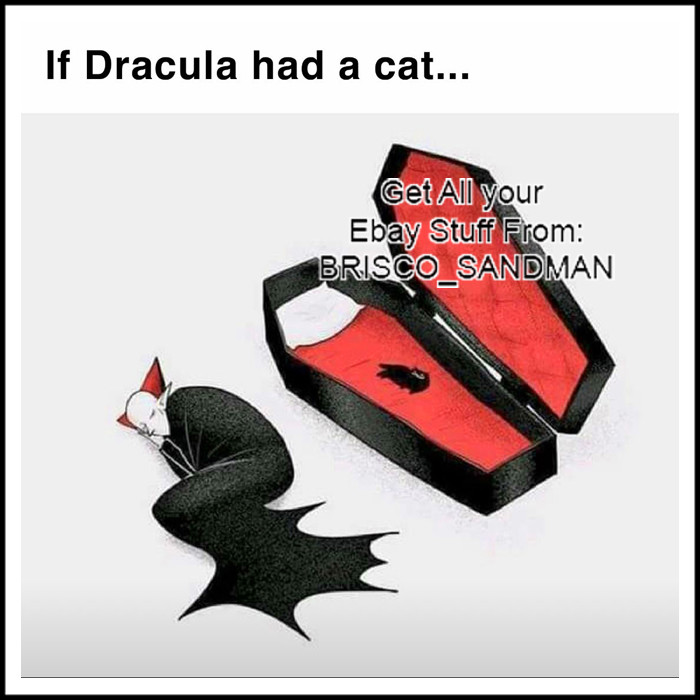 Fridge Fun Refrigerator Magnet IF DRACULA HAD A CAT Funny Meme