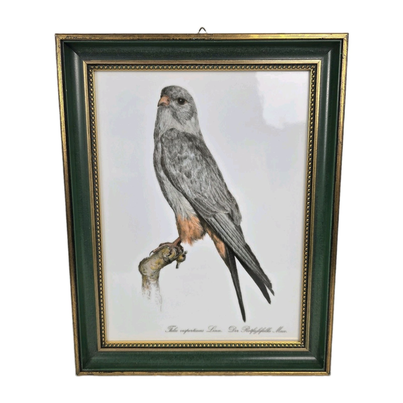 Vintage Swedish Rörstrand Porcelain Plaque Red-footed Falcon By Hans Arnaft