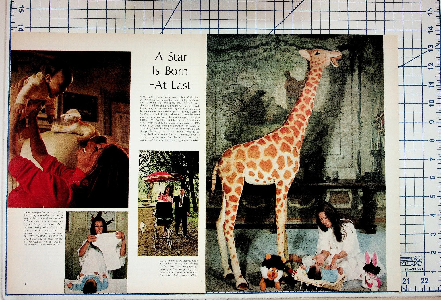 Sophia Loren & Carlo Ponti Jr. Life Magazine Article Giraffe Photo Ephemera