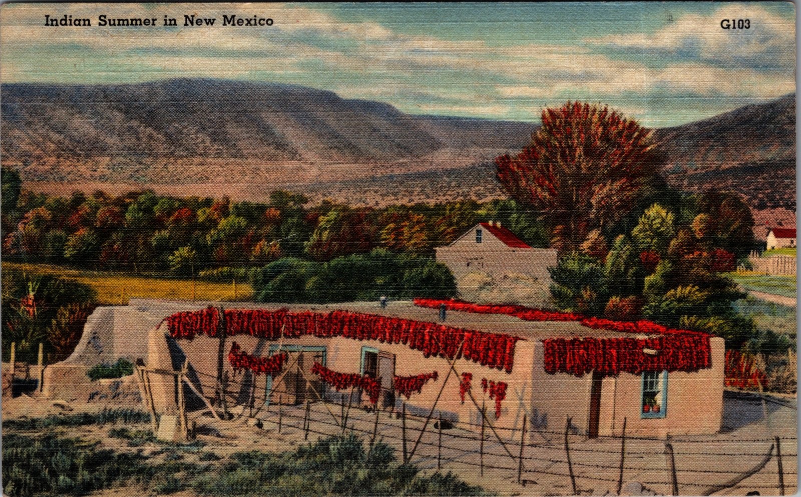 Vintage Linen Postcard New Mexico Indian Summer Adobe Chili Drying Scene