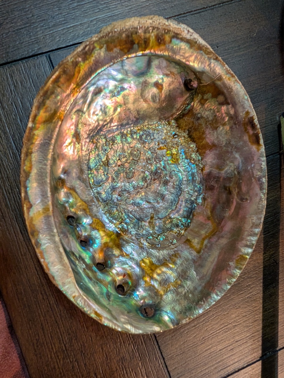 VINTAGE 7 inch ABALONE SHELL GREAT MOTHER OF PEARL