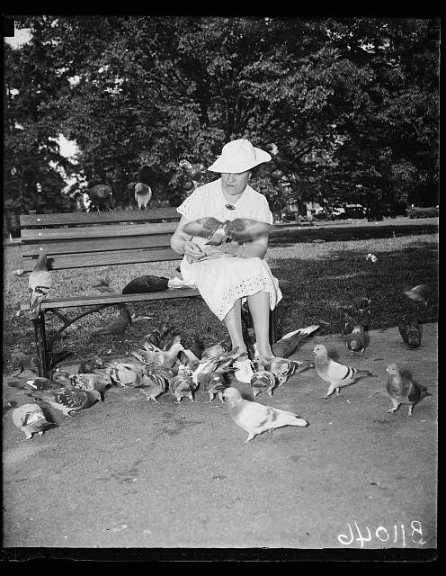 Photo:1936 1937 Woman Feeding Pigeons in Park Bench Birds Black Dress