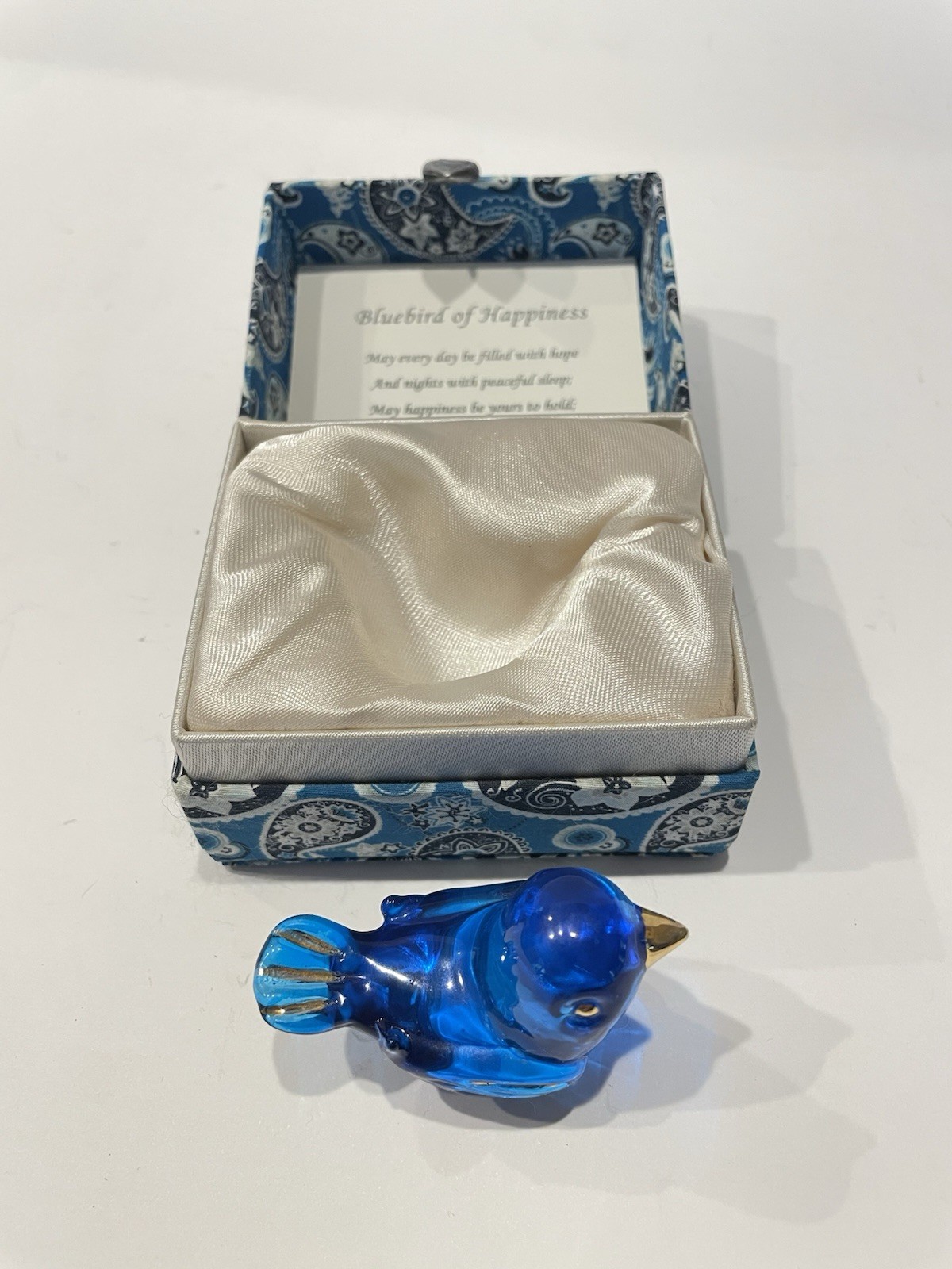 Glass Bluebird  
