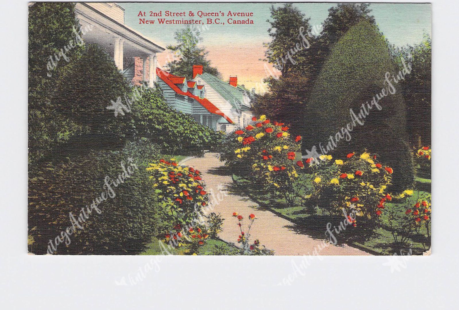 PPC Postcard Canada British Columbia New Westminster Residential Street View 2Nd PPC Postcard Canada British Columbia New Westminster Residential Street View 2Nd