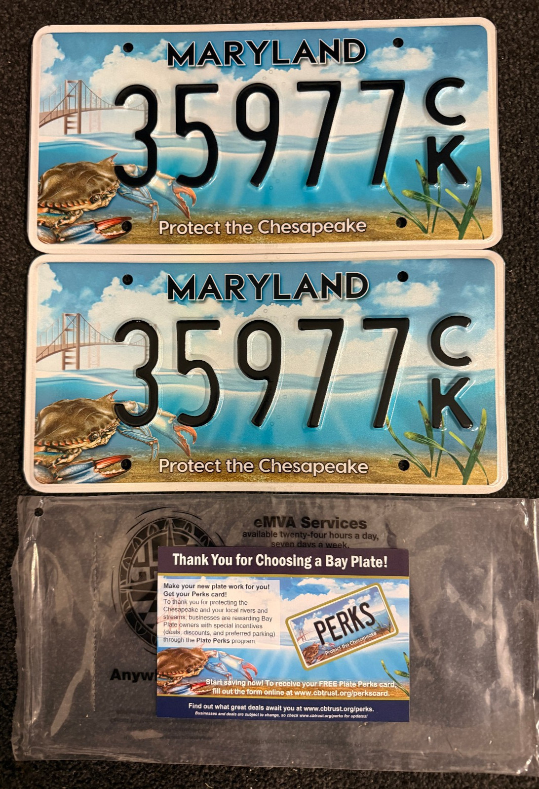 Maryland Protect the Chesapeake License Plate Pair 35977 ... Expired / Specialty