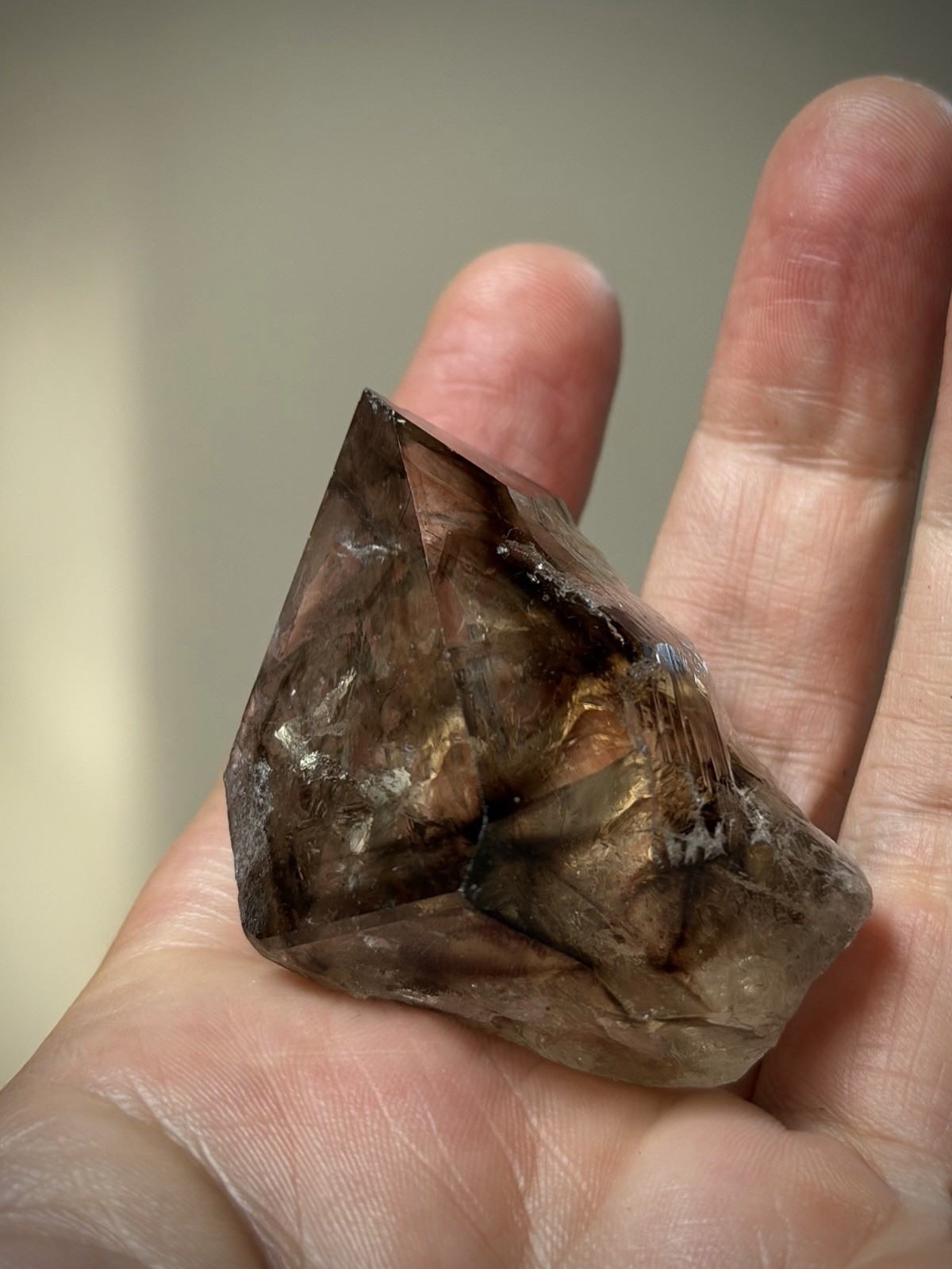 Elestial Quartz Crystal Natural Smoky Quartz Smoky Elestial Brazil Quartz