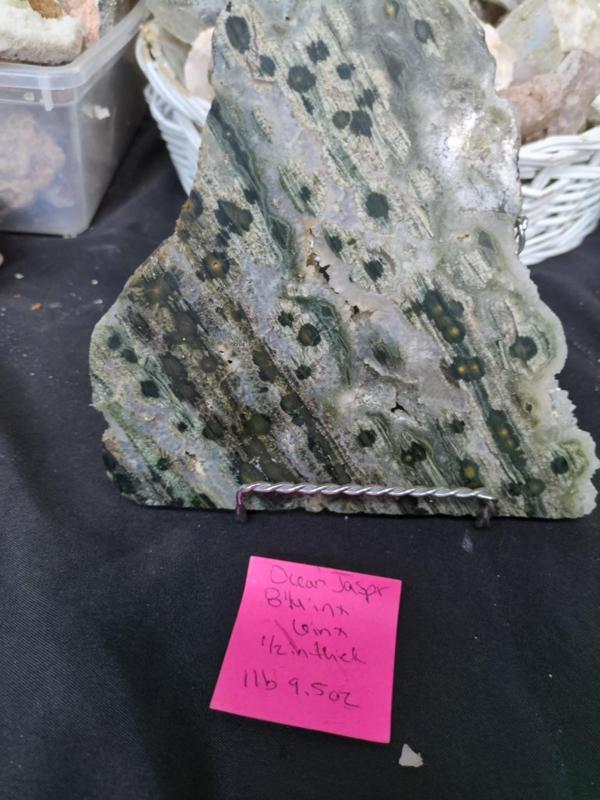 Ocean Jasper w/ Flower like Crystalized Orbs Thick Unpolished Slab (1lb 9.5oz)