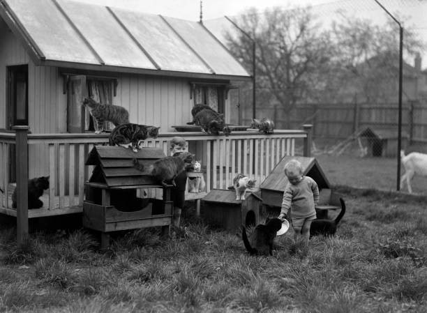 Young children with cats Circa 1925 Old Photo