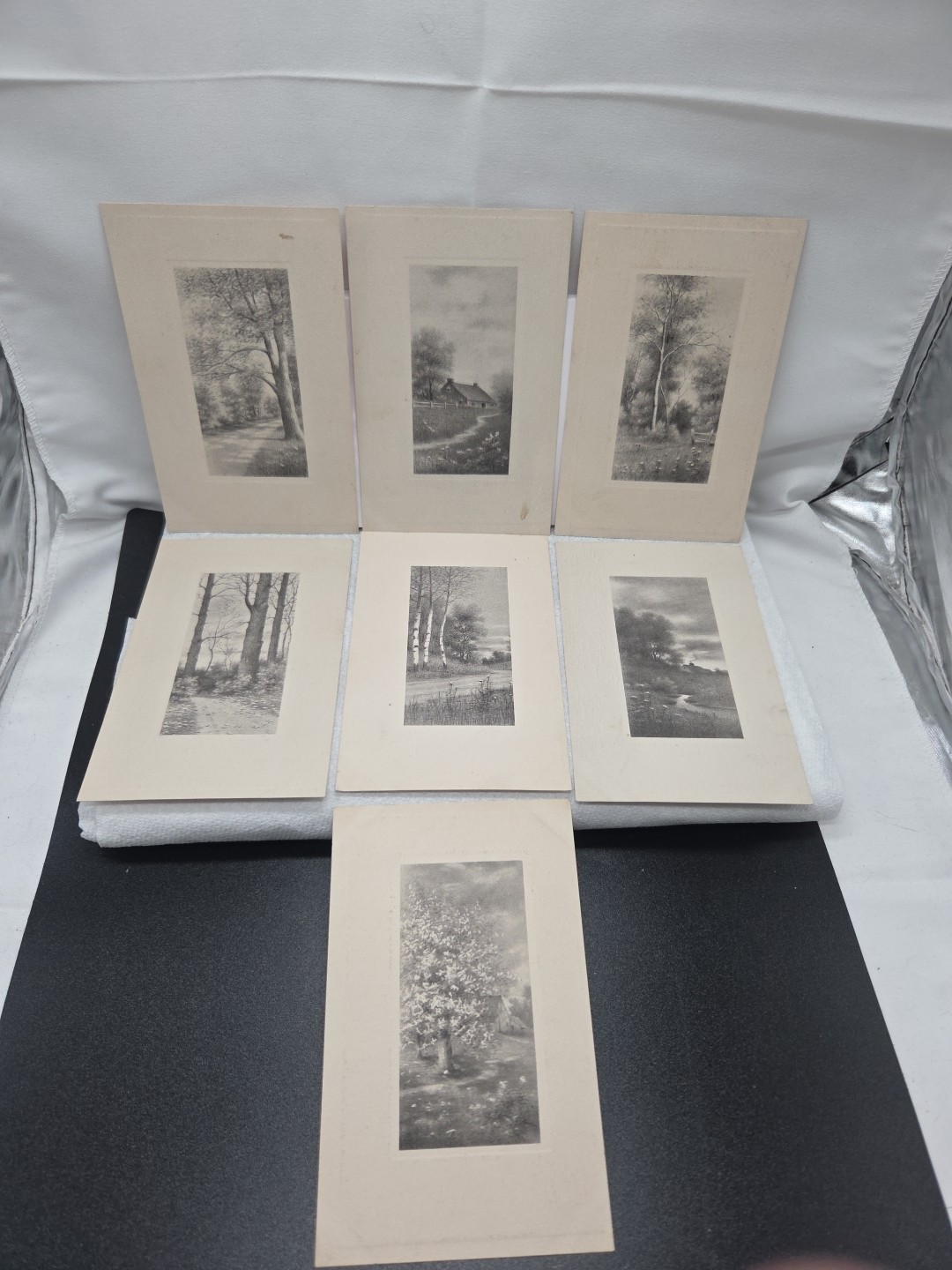 1911  7 Forest House Scenery Trees Flowers Homesteads Postcards G.A. & Co. USA