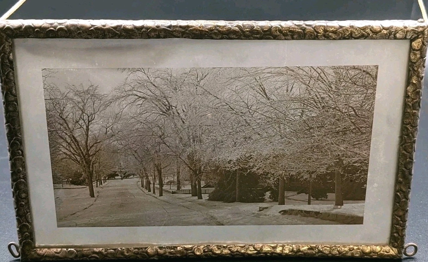 ANTIQUE C. 1890s GLASS PLATE NEGATIVE IN ORNATE FRAME HENRY E. WARREN ATTR -READ