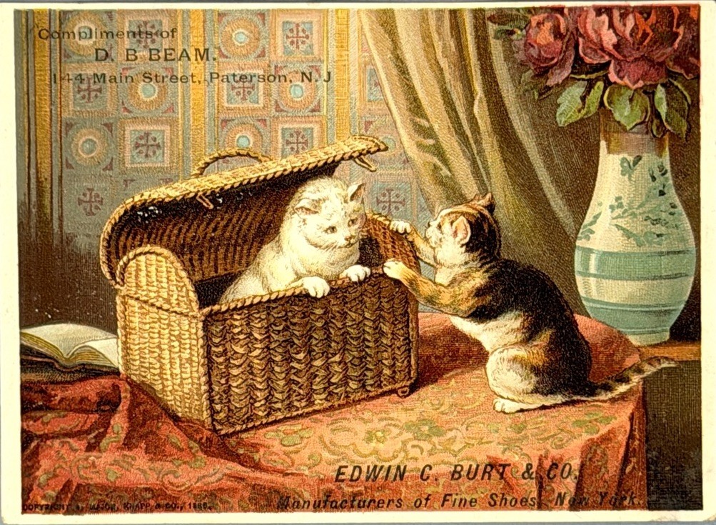 Victorian Trade Card Kittens in Wicker Basket D. B. Beam Shoes NY Paterson NJ