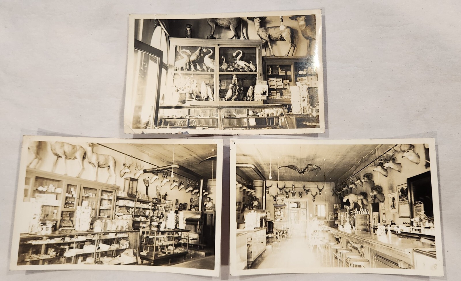 RPPC Idaho City Wiegel's Place Taxidermy Diner Store Bar Lot Of 3 Rare Views RPPC Idaho City Wiegel's Place Taxidermy Diner Store Bar Lot Of 3 Rare Views